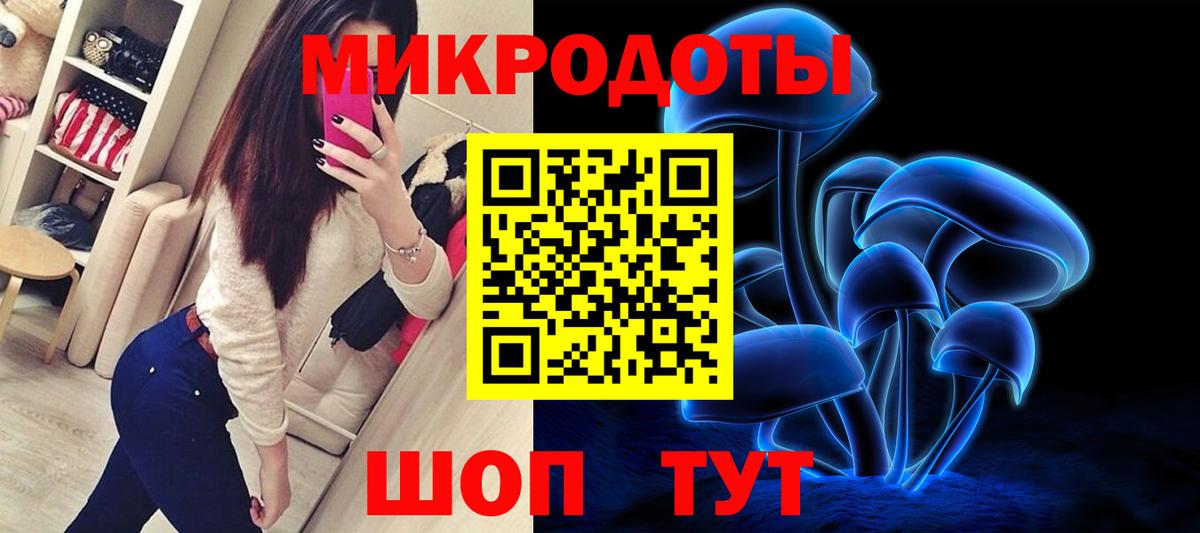 Псилоцибиновые грибы Cubensis  Вход с VPN  Гатчина 